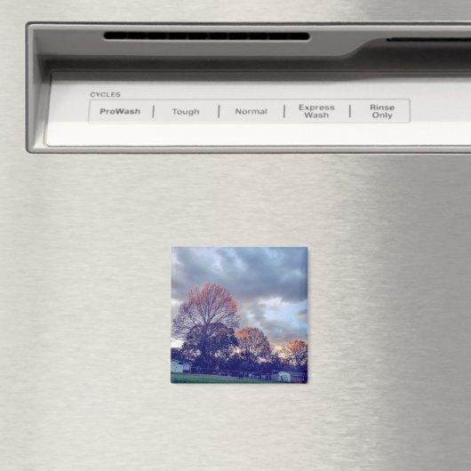 恋に落ちる マグネット (インサイチュ (食洗機))