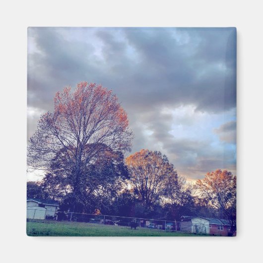 恋に落ちる マグネット (正面)