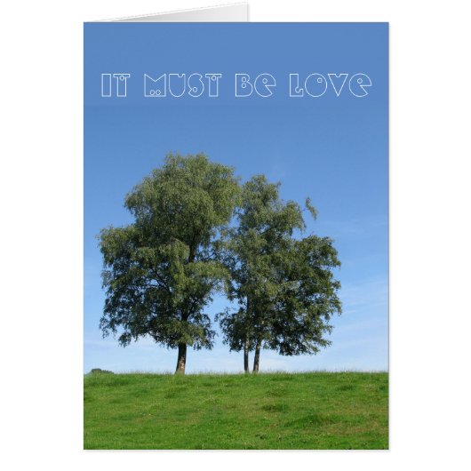 恋に違いない (正面)