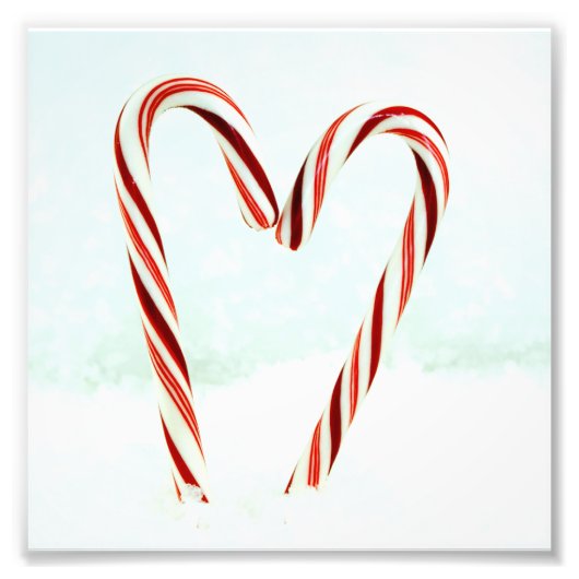 恋に違いない フォトプリント            (正面)