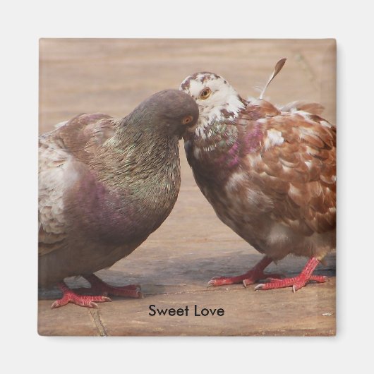 恋に違いない マグネット (正面)