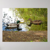 恋のアヒル ポスター (正面)