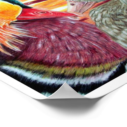 恋のアヒル ポスター (角)