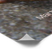 恋のカタツムリプリント – 枠/枠なし ポスター (角)