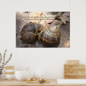 恋のカタツムリ ポスター (キッチン)