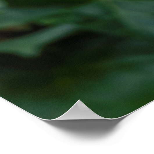 恋のジャガー ポスター (角)