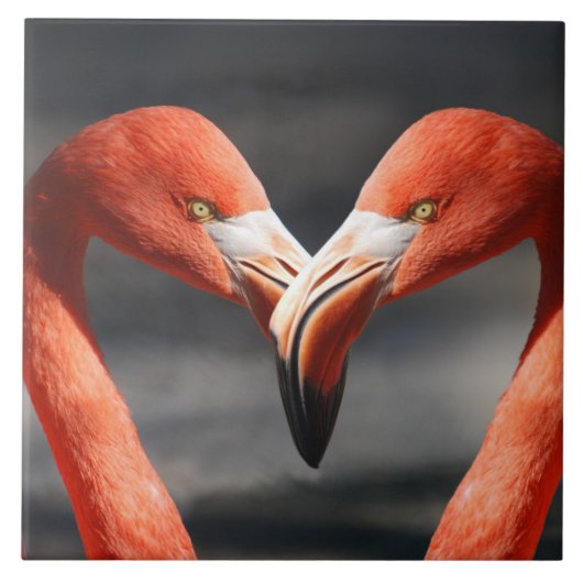 恋のフラミンゴ タイル (正面)