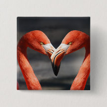 恋のフラミンゴ
