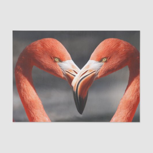 恋のフラミンゴ 薄葉紙 (正面)