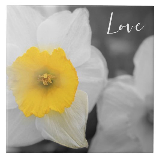 恋のモーニング・フラワー タイル (正面)