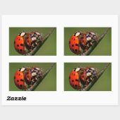 恋のラディバグ 長方形シール (シート)