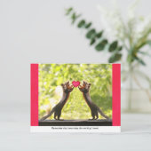 恋のリス ポストカード (スタンド正面)