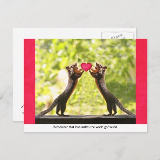 恋のリス ポストカード (正面/裏面)