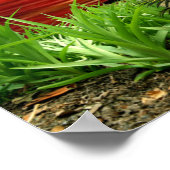 恋の日 ポスター (角)