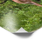 恋の病 フォトプリント            (角)