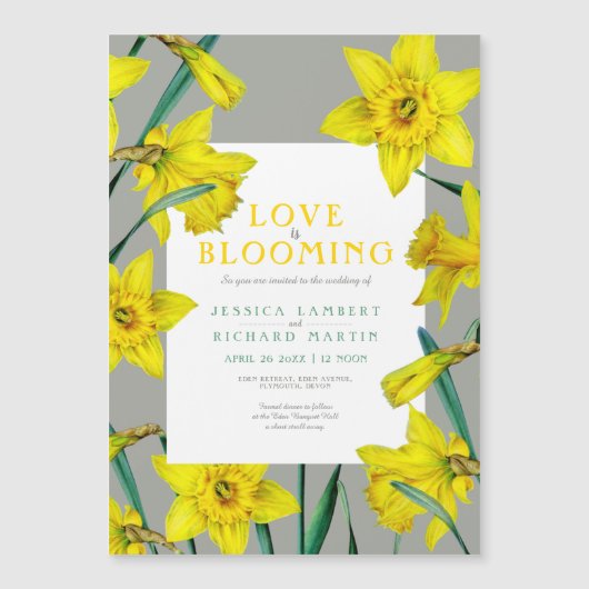 恋の花春黄色いダッフォッ結婚ズ マグネット招待状 (正面)