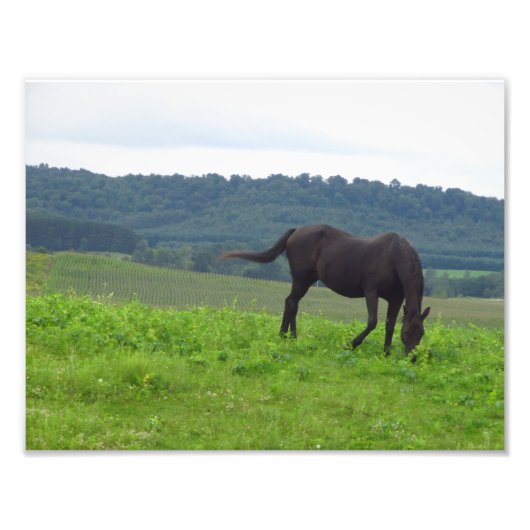 恋の草地 フォトプリント            (正面)