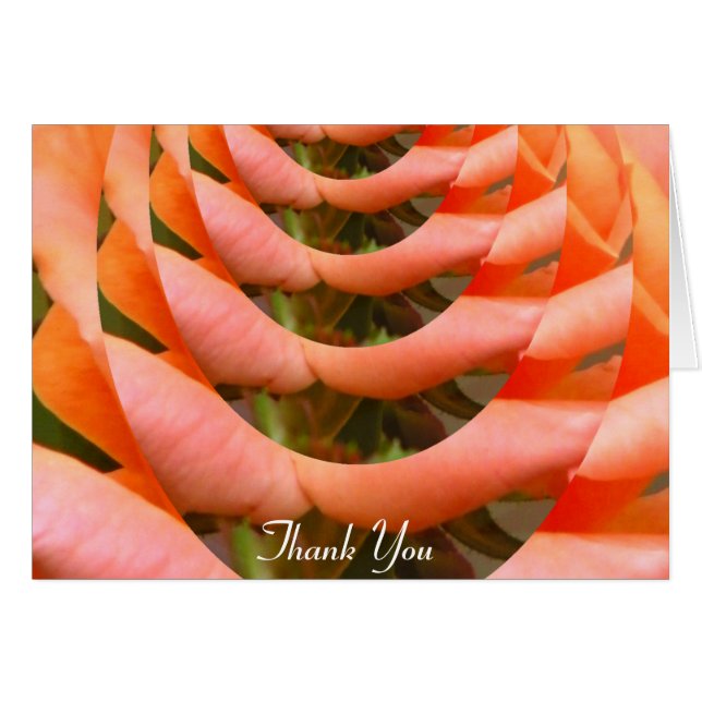 恋の道_ (正面横)