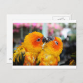 恋の鳥がくすぐる ポストカード (正面/裏面)