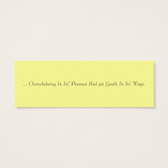 恋はゾウに似ている (裏面)