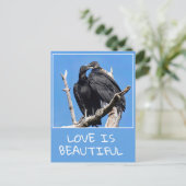 恋はハゲワシの美 ポストカード (スタンド正面)