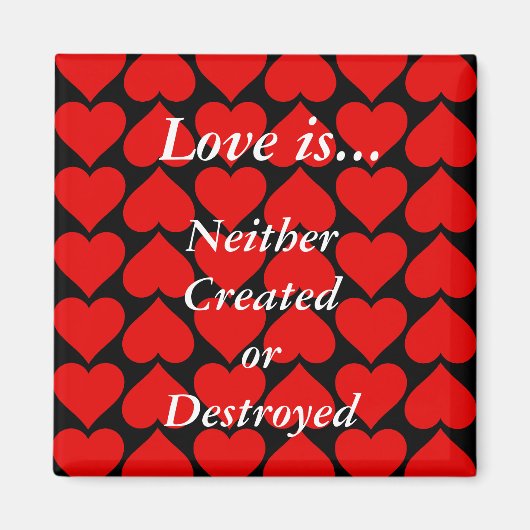 恋は磁石 マグネット (正面)