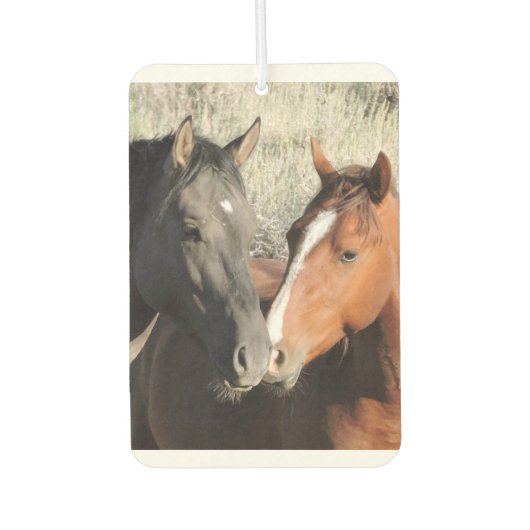 恋は空中 カーエアーフレッシュナー (正面)