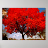 恋は空中 ポスター (正面)