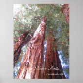 恋は絶えぬ ポスター (正面)