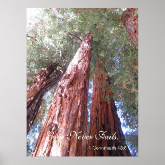 恋は絶えぬ ポスター