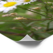 恋は美しい ポスター (角)