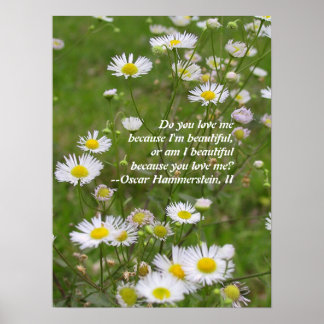 恋は美しい ポスター