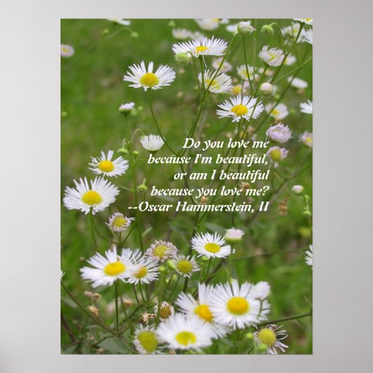 恋は美しい ポスター (正面)