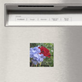 恋は花を絶たぬ マグネット (インサイチュ (食洗機))