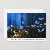 恋は蝶に似ている ポストカード (正面/裏面)