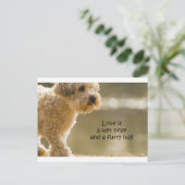 恋は鼻が濡れて抱擁が激しい ポストカード (スタンド正面)