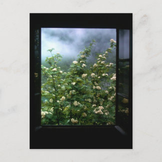 恋をする女 ポストカード