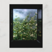 恋をする女 ポストカード (正面)