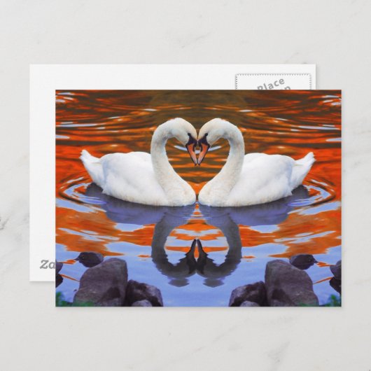 恋キスをするに悩む白鳥、ハートシェイプネック ポストカード (正面/裏面)