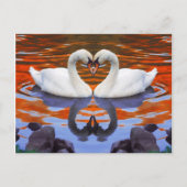 恋キスをするに悩む白鳥、ハートシェイプネック ポストカード (正面)