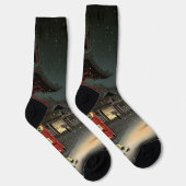 恋一 – 根津神社の雪 ソックス (右)