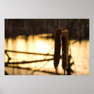 恋人たち ポスター