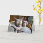 恋人のための挨拶状 カード (黄色い花)