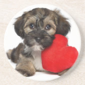 恋人のバレンタインのHavaneseの小犬 コースター (正面)