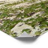 恋人のビーチネヴィス・ポスター ポスター (角)