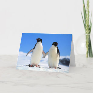 恋人のペンギン カード
