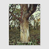 恋人の木 (正面)