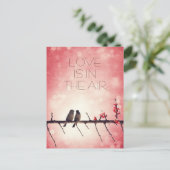 恋鳥物語 ポストカード (スタンド正面)