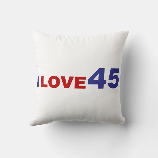 恋45 クッション (裏面)