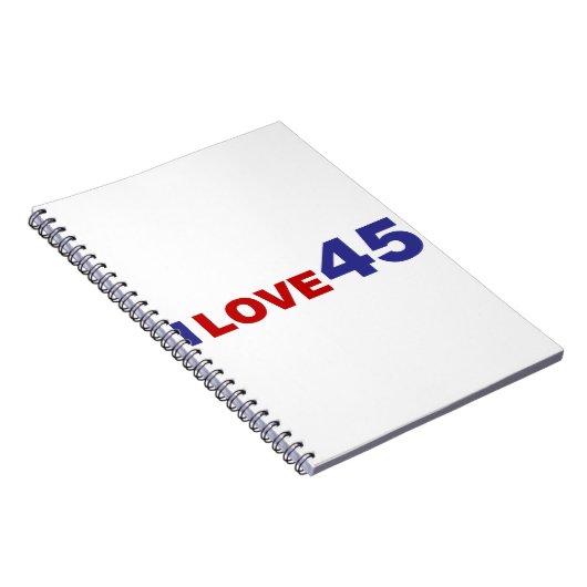 恋45 ノートブック (右側)